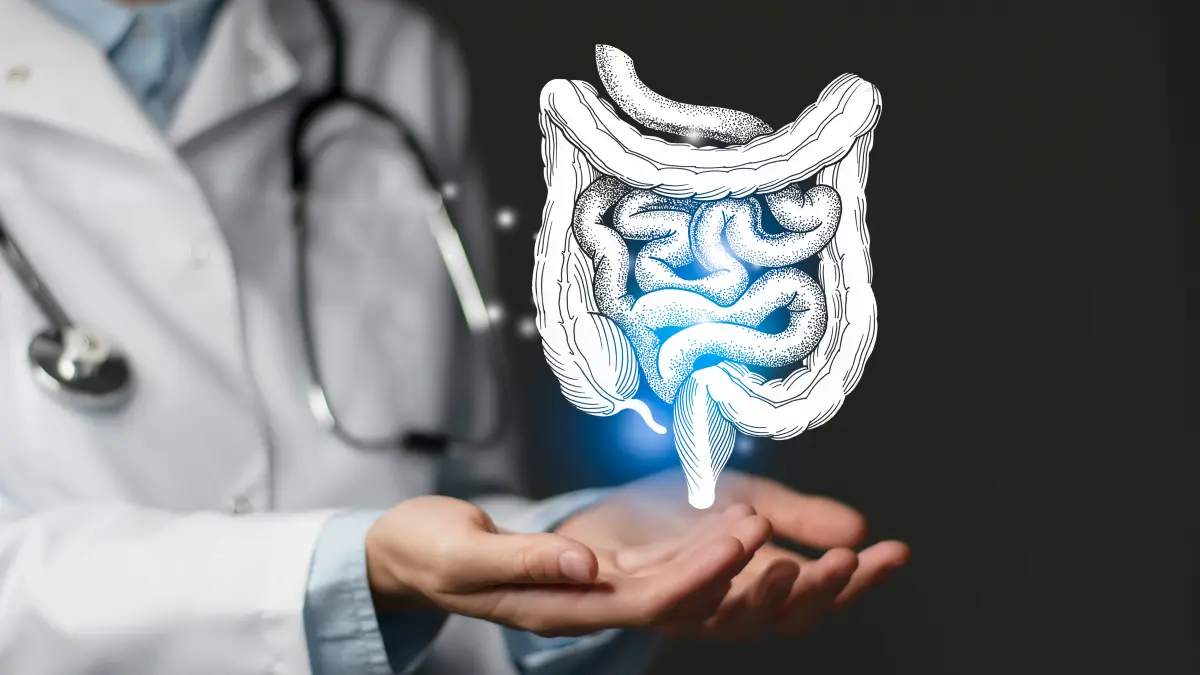 Arzt hält leuchtende Darm-Illustration – Symbolbild für Darmkrebsvorsorge und Darmkrebsfrüherkennung