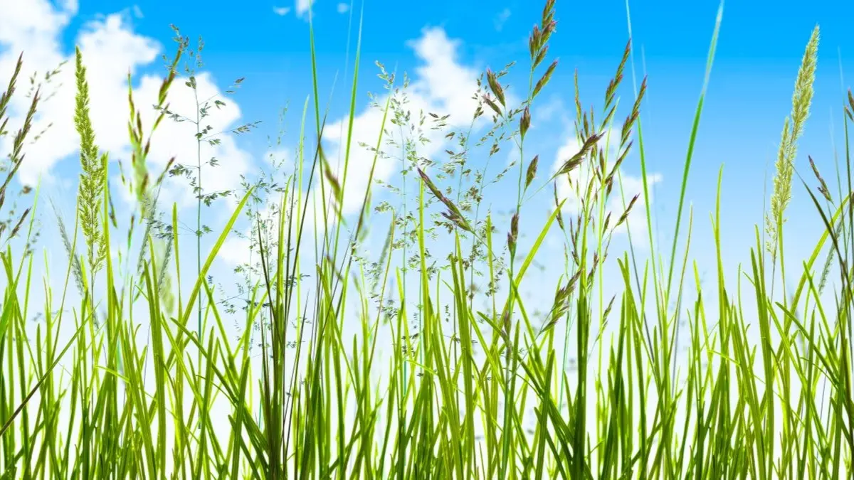 © winyu – stock.adobe.com