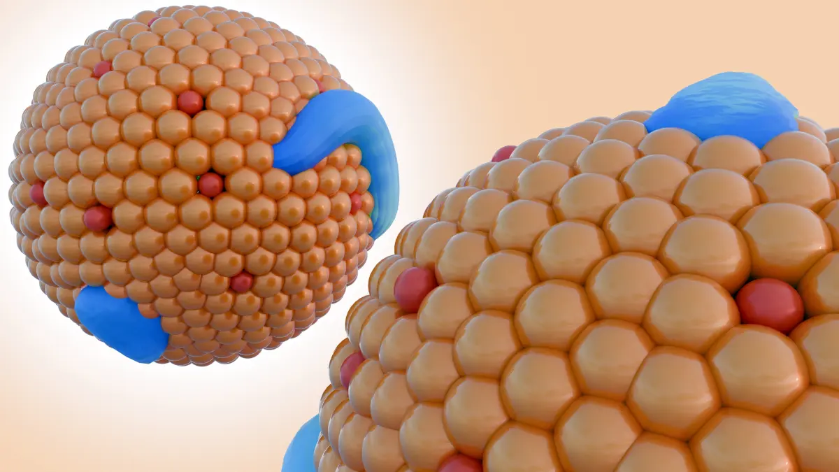 3D-Rendering von Chylomikronen-Partikeln