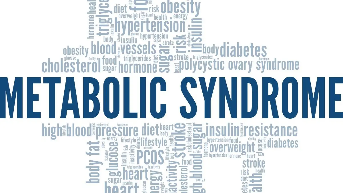 Wordcloud zum metabolischen Syndrom mit Begriffen wie Insulinresistenz, Diabetes, Bluthochdruck und Uebergewicht