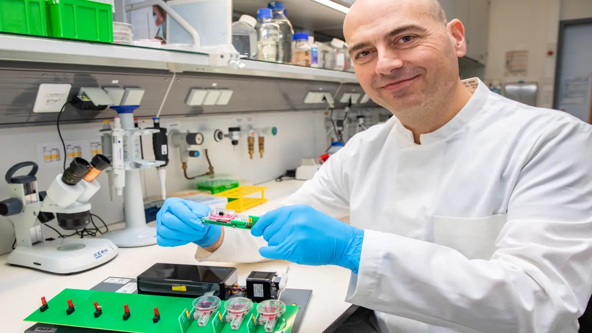 Prof. Dr. Dr. Thomas Thum hält im Labor ein Herzschnitt-Analysegerät in den Händen und forscht an einer neuen RNA-Therapie nach Herzinfarkt an lebenden Herzschnitten.