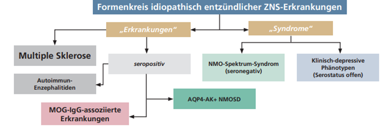 Die NMOSD in der Landkarte der Neuroimmunologischen Erkrankungen. Revidierte Nomenklatur der NMOSD noch vorläufig.