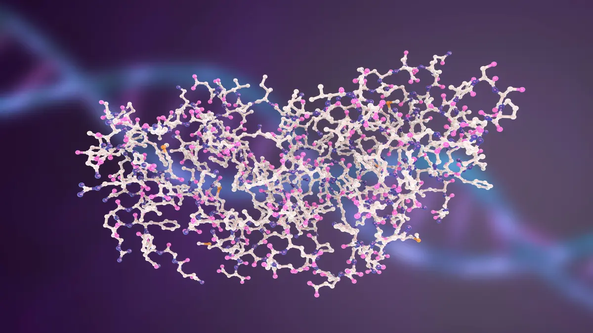 3D-Illustration eines komplexen Proteinmoleküls mit farbigen Atomen vor violettem Hintergrund