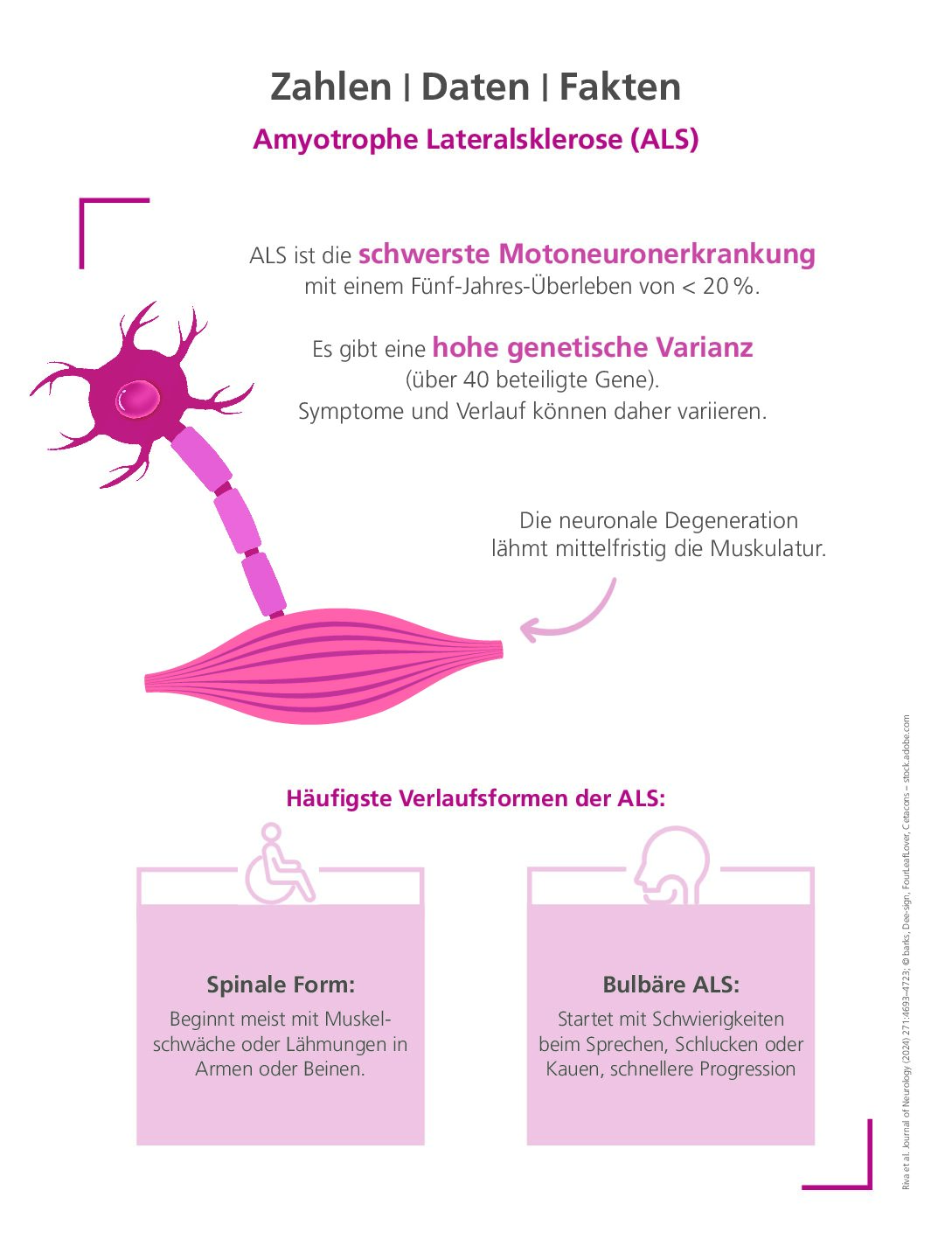 Amyotrophe Lateralsklerose (ALS)