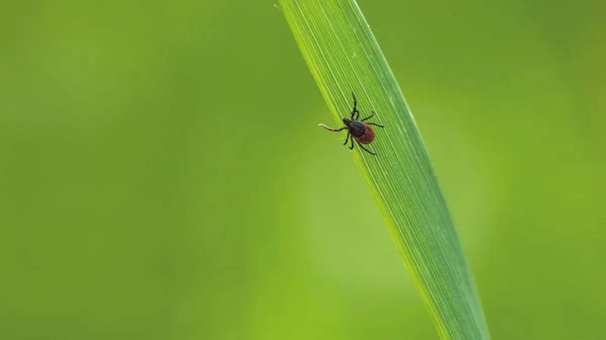 © lightpoet– stock.adobe.com