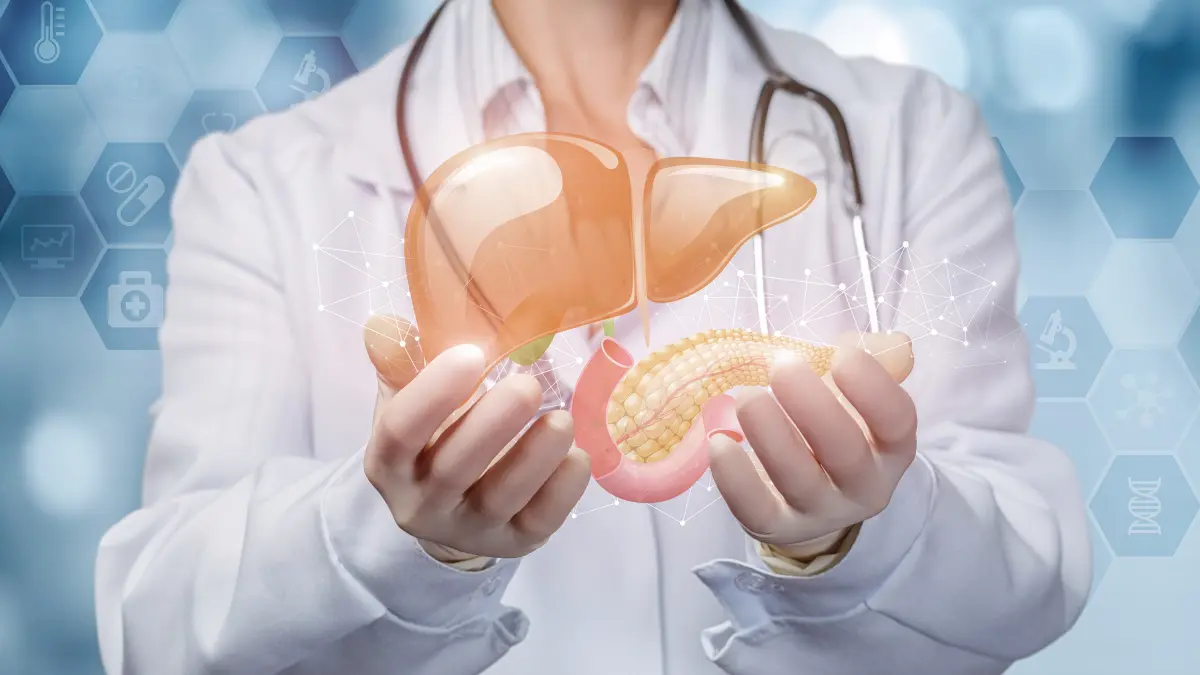 Ärztin im weißen Kittel hält eine digitale anatomische Darstellung von Leber und Bauchspeicheldrüse – Symbolbild für den Zusammenhang zwischen Fettleber (MASLD) und Diabetes Typ 2