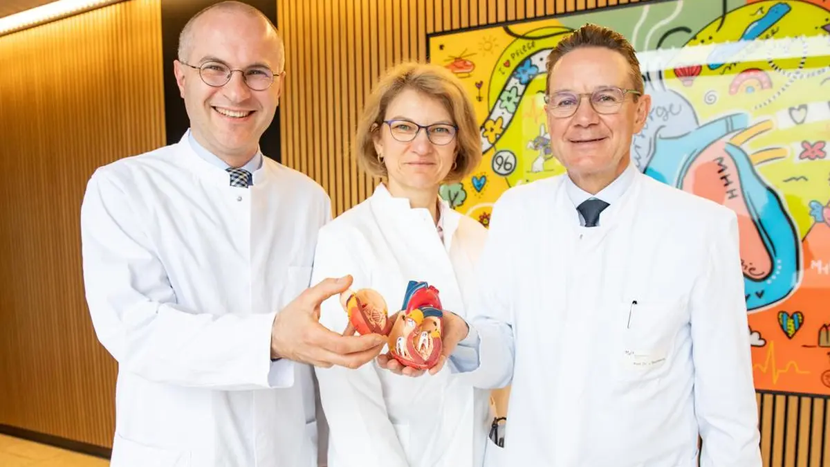 PD Dr. Christian Riehle, Dr. Natali Froese und Prof. Dr. Johann Bauersachs halten ein Herzmodell – MHH-Forschende zur Rolle von RHOT-Proteinen in Herzmuskelzellen