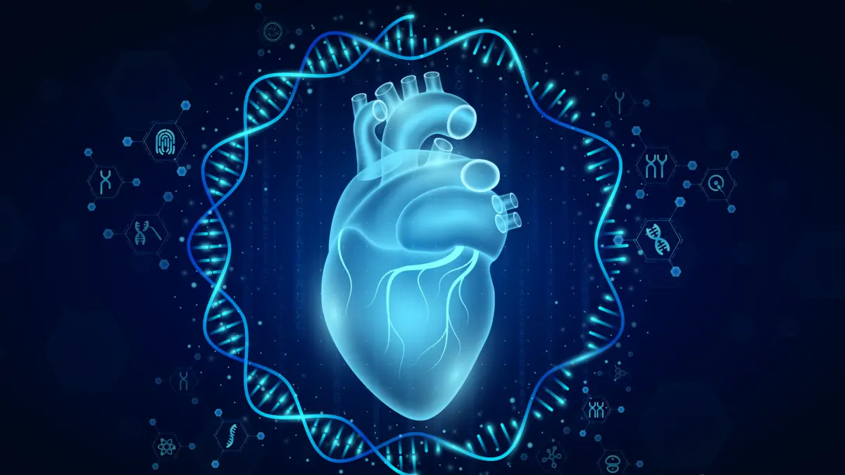 Digitale Illustration eines menschlichen Herzens umgeben von einer leuchtenden DNA-Doppelhelix – Symbol für die RNA-Interferenz-Therapie bei ATTR-Kardiomyopathie