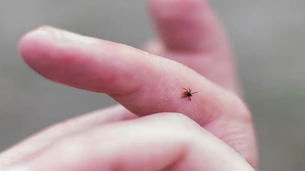 © bogdan vacarciuc - stock.adobe.com