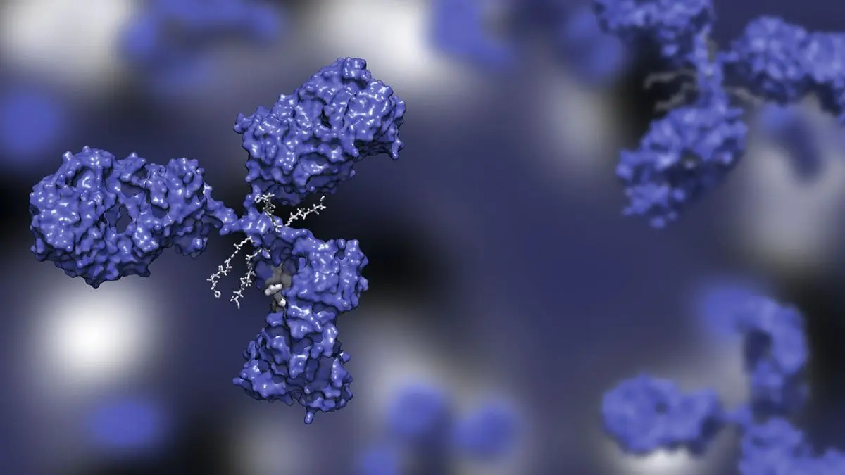 © huenstructurebio.com – stock.adobe.com