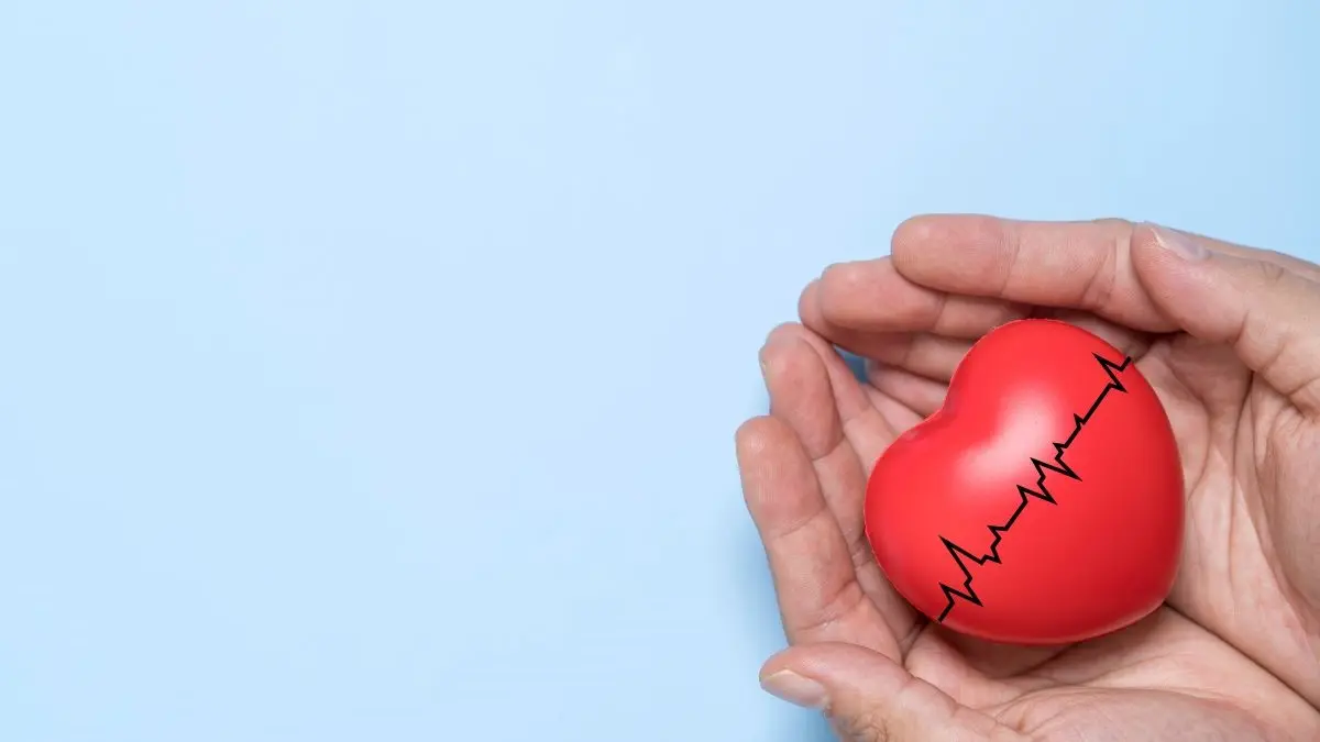 Haende halten rotes Herz mit EKG-Linie als Symbol dafuer, dass Dermatologen die Herzgesundheit im Blick haben sollten