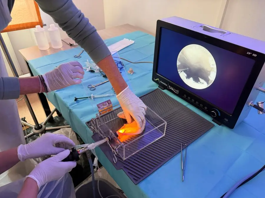 Workshop zur Anwendung der Hydrogel-Therapie für operativ tägige Gynäkologinnen und Gynäkologen.
© Universitätsklinikum Frankfurt