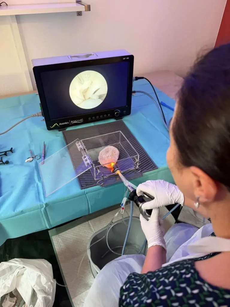 Workshop zur Anwendung der Hydrogel-Therapie für operativ tägige Gynäkologinnen und Gynäkologen. © Universitätsklinikum Frankfurt