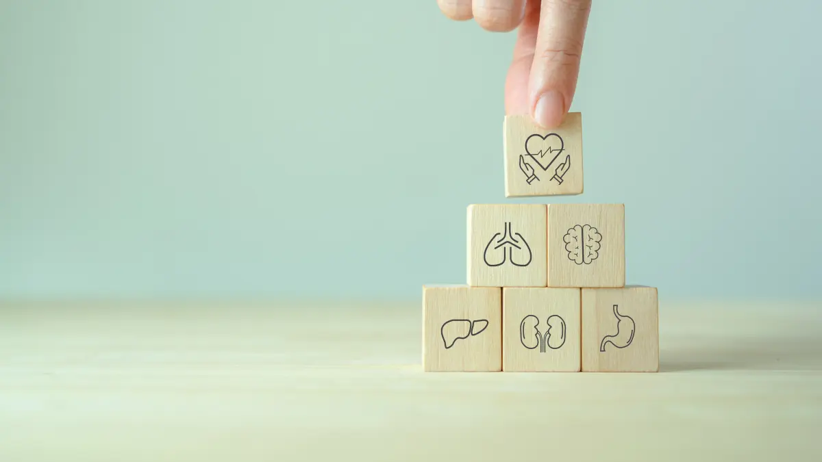 Organspende – Symbolbild zur Warteliste für Organtransplantation