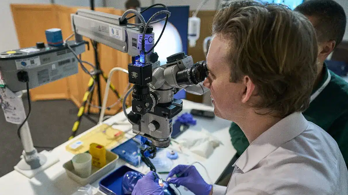 Wetlab beim DOC 2026 Nürnberg